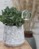 SELFWATERING BIRD
